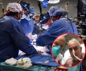 El paciente, David Bennett, no era apto para un trasplante humano. FOTOS: AFP
