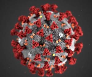 Ilustración proporcionada por los Centros para el Control y la Prevención de Enfermedades de Estados Unidos (CDC) en enero de 2020 del 2019 Novel Coronavirus (2019-nCoV). (CDC vía AP, Archivo)