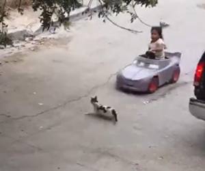La niña a bordo del vehículo de juguete inspirado en el personaje 'Ramón' de la película Cars, arrolló al gato y lo elevó por el aire. Foto: Cortesía