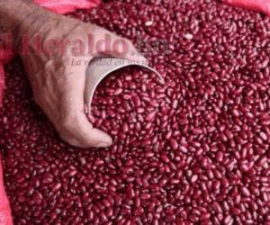 Desde 2014, Honduras ha logrado ser un país autosostenible en la producción y consumo de frijoles. Foto: EL HERALDO