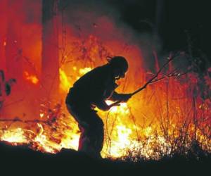 De acuerdo a las autoridades, la mayoría de incendios forestales en Honduras son provocados por el hombre. Foto: EL HERALDO