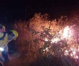 En la mañana del miércoles se realizó una inspección en la zona para evitar que se reactive el incendio. Foto: Cortesía Cuerpo de Bomberos