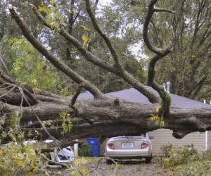 Un gran árbol cayó sobre los vehículos estacionados en el camino de entrada de un Natchez. Foto AP