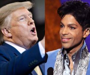 Prince nació en Minneapolis, motivo por el que los directores de campaña de Trump habrían elegido el tema para el mitin desarrollado en ese lugar.