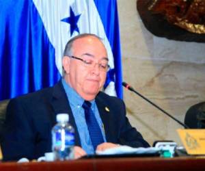 El parlamentario de Alianza Patriótica, Denis Castro Bobadilla, durante una sesión del Congreso Nacional.