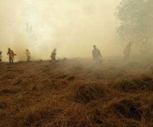 Por unas cinco horas los bomberos se dieron a la tarea de sofocar las llamas que arrasaban la maleza y los pinos. Foto: Cortesía bomberos / EL HERALDO.