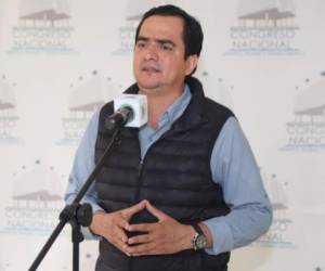 El diputado Mario Pérez preside esta comisión.