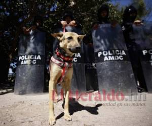 La oficial Laura es la primera en formarse para salir a misión desde la antigua Penitenciaría Central (PC). FOTOS: Emilio Flores / EL HERALDO.