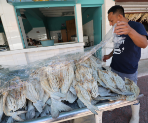 La venta de pescado seco ya comenzó en la capital. El costo de este alimento se ha mantenido en los precios más altos registrados en 2023.