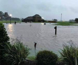 Hondureños también se vieron afectados por las inundaciones en Luisiana. Foto: Edin Ordoñez