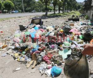 Los vecinos de las colonia Continental y Espíritu Santo “depositan” los desechos en este botadero de basura clandestino. Foto: Efraín Salgado/EL HERALDO