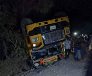 La unidad de transporte se volcó luego de precipitarse en una hondonada.