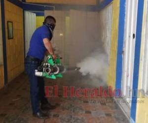 Las fumigaciones y aplicación de BTI se hacen de forma permanente. Foto: EL HERALDO.