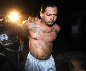 La policía explica que el discurso anti-inmigrante de Trump silencia a quienes más pueden ayudarle a enfrentar la pandilla: los hispanos indocumentados. Foto: archivo AFP