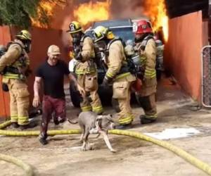 El hombre pudo rescatar a su perro de una muerte segura.
