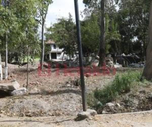 El área verde de la zona permanece llena de basura y tierra. Fotos: Efraín Salgado/EL HERALDO