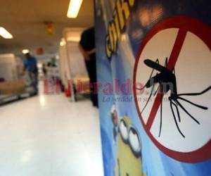 Los equipos de salud realizan operativos contra el dengue.