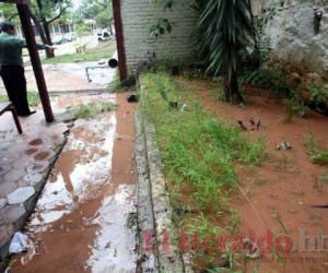 Según las autoridades municipales se reciben todo tipo de denuncias que generen inconvenientes entre los vecinos.