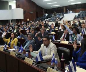 Los diputados del Congreso Nacional aprobaron el dictamen para intervenir el Registro Nacional de las Personas. Foto: Congreso Nacional/Twitter.