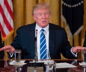 Cientos de mujeres han protestado en contra de las políticas de Donald Trump. Foto: AFP