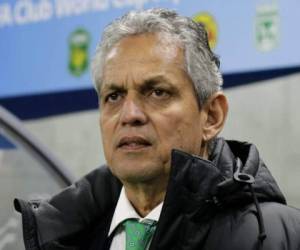 Reinaldo Rueda se va con varios títulos al frente del Atlético Nacional de Colombia (Foto: Agencia)