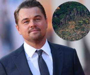El actor Leonardo DiCaprio donó la cantidad de cinco millones de dólares (4,5 millones de euros) para preservar la Amazonia. Foto AFP