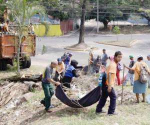 Entre las actividades de prevención se realizan trabajos de limpieza en barrios y colonias de la ciudad capital desde inicios de este año con apoyo de diferentes instituciones.