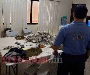 Dentro de la vivienda hallaron drogas, armas y cargadores. Foto: Johny Magallanes / DPI