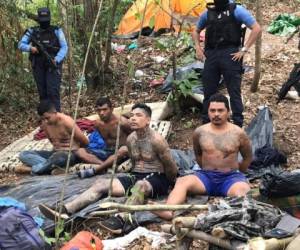 El campamenro se ubicaba en la aldea La Cumbre, en El Merendón. Foto: Cortesía Policía Nacional.