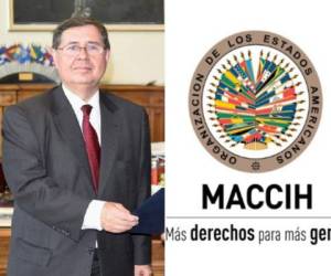 Luiz Antonio Guimarães Marrey es el vocero de la Maccih-OEA.