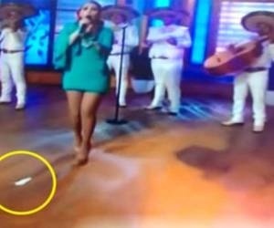 Paty Navidad pasó un momento bochornoso en pleno programa de televisión.