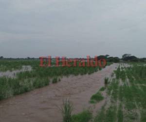 A través de Twitter el presidente Juan Orlando Hernández solicitó a los hondureños tomar todas las medidas de precaución ante las lluvias y sus efectos. (Foto: El Heraldo)