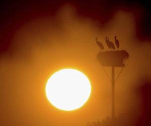 En partes de Arkansas y al oeste de Memphis, Tennessee, la temperatura podría llegar a alrededor de los 47,2 grados (117 Fahrenheit). Foto: Agencia AP.