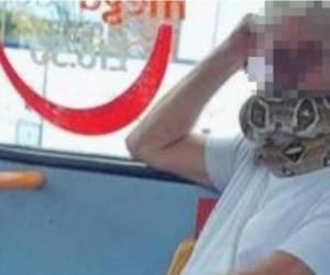 El hombre usó al reptil como mascarilla mientras viajaba en un autobús.