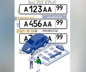 Los vehículos que se pueden nacionalizar son pick-up, camiones, volquetas, cabezales y carros de colección.