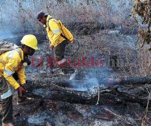 En el sector de Plan Grande, San Juancito, se registró un incendio que consumió alrededor de diez hectáreas de bosque.