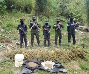 Las autoridades no reportan a personas detenidas durante el decomiso.