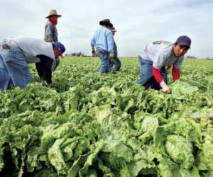 Casi un millón de hondureños residen en Estados Unidos.