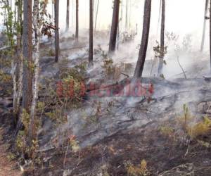 El clima cálido y la mano criminal son los principales detonantes de los incendios forestales que azotan Honduras en lo que va de 2018. El Hatillo arde en llamas. Fotos Estalin Irías| EL HERALDO