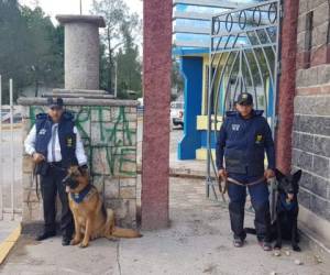 Los perros antidrogas estarán en los portones de la UNAH tratando de evitar que los estudiantes ingresen con productos ilegales.