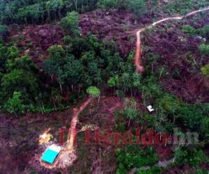 Durante la pandemia, particulares aprovecharon para abrir al menos 20 kilómetros más de carretera entre Dulce Nombre de Culmí, Olancho, y Wanpusirpi, Gracias a Dios. Foto: Jhony Magallanes/El Heraldo