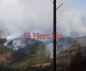 Las llamas se esparcieron en la zona montañosa. Bomberos trabajan intensamente para combatir el fuego. Foto Estalin Irías| EL HERALDO