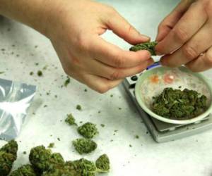 La posesión de marihuana será castigada en ocho puestos de control vial manejados por la Patrulla Fronteriza en California. Foto: Agencia AP