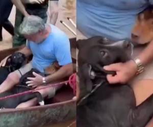 Hombre con colostomía se arriesgó por salvar a sus cuatro perros en las inundaciones de Brasil.