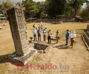 Los monumentos del gobernante número 16 se encuentran en la Plaza de las Estelas. Fotos: Honduras Tips.