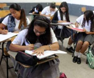 Los profesores consideran que puede haber mayor provecho. (Foto: El Heraldo Honduras)