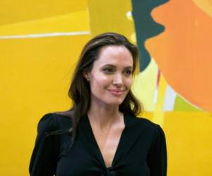 'Estoy entusiasmada de poder enseñar y aprender de los estudiantes', manifestó Jolie. Foto: AP