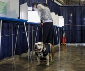 La mascota de la Universidad de Butler, Blue III, acompaña a Michael Kaltenmark mientras vota en el Hinkle Fieldhouse de la Universidad de Butler el 6 de noviembre de 2018 en Indianápolis, Indiana. Foto AFP