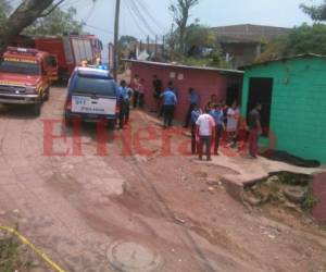 La víctima se encontraba a unos 50 metros del panal de abejas. Foto: Jimmy Argueta/ EL HERALDO