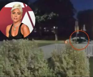 Las cámaras de los vecinos captaron el momento del asalto al cuidador de perros de Lady Gaga.